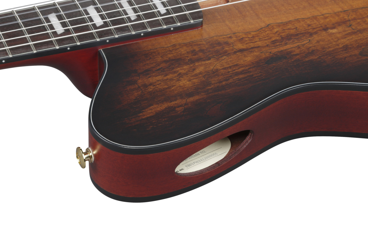 Ibanez FRH20SMN-TCL